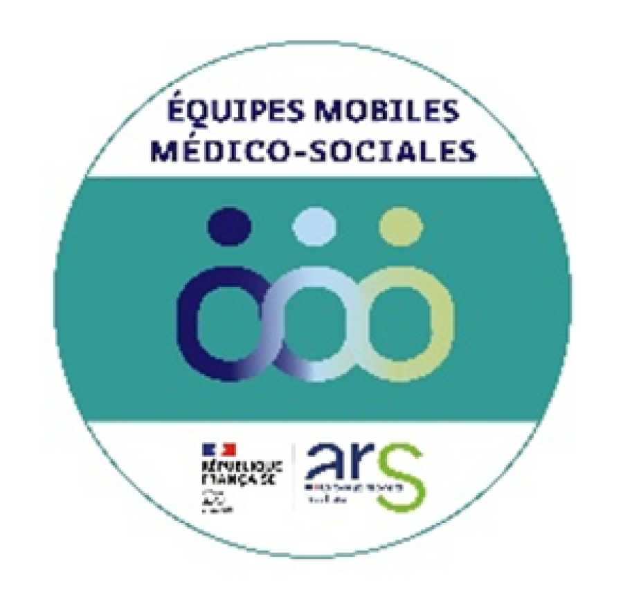 Les Equipes mobiles médico-sociales précarité en Ile-de-France